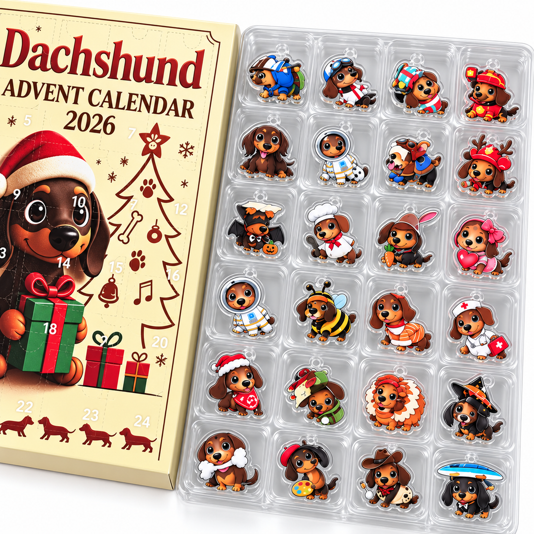 Goldie | Dachshund Advent Calendar