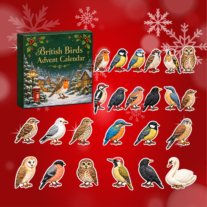 Hattie | Garden Birds Advent Calendar