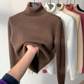Callista | Thermal Fleece-Lined Knit Turtleneck