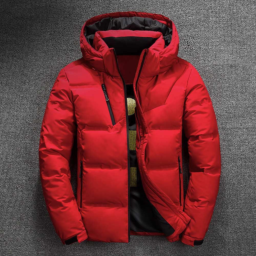 Gray | Hooded down jacket men